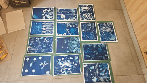 Cyanotype Workshop