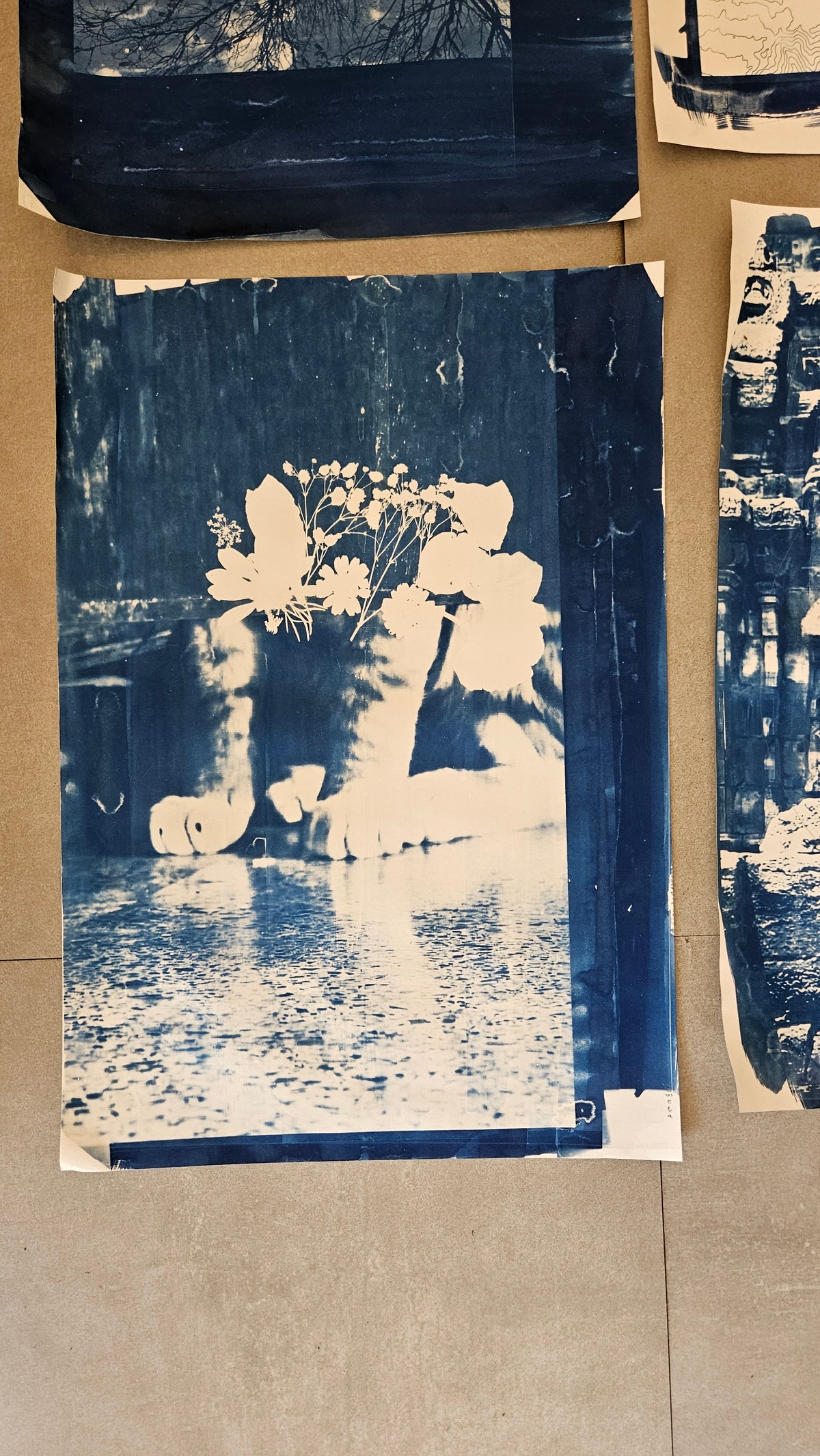 Cyanotype Workshop