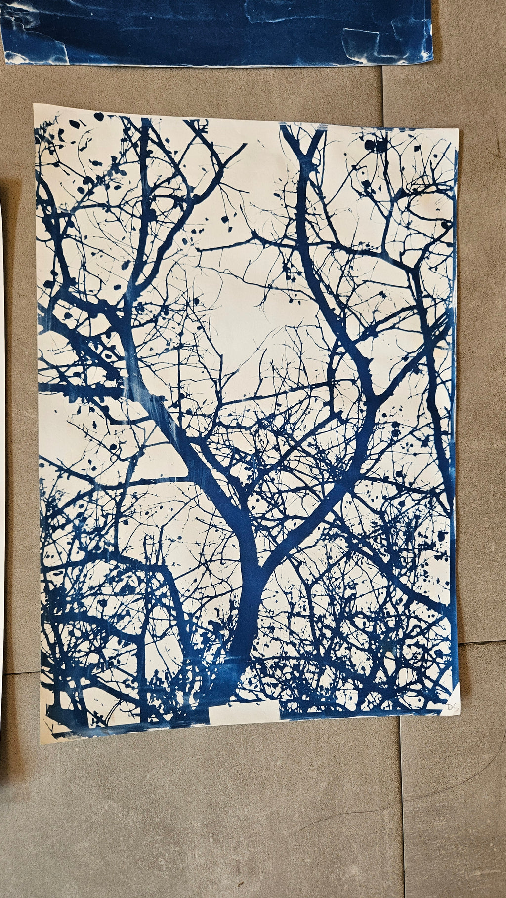 Cyanotype Workshop