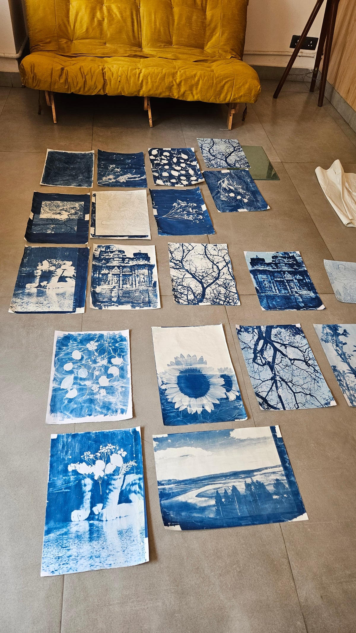 Cyanotype Workshop