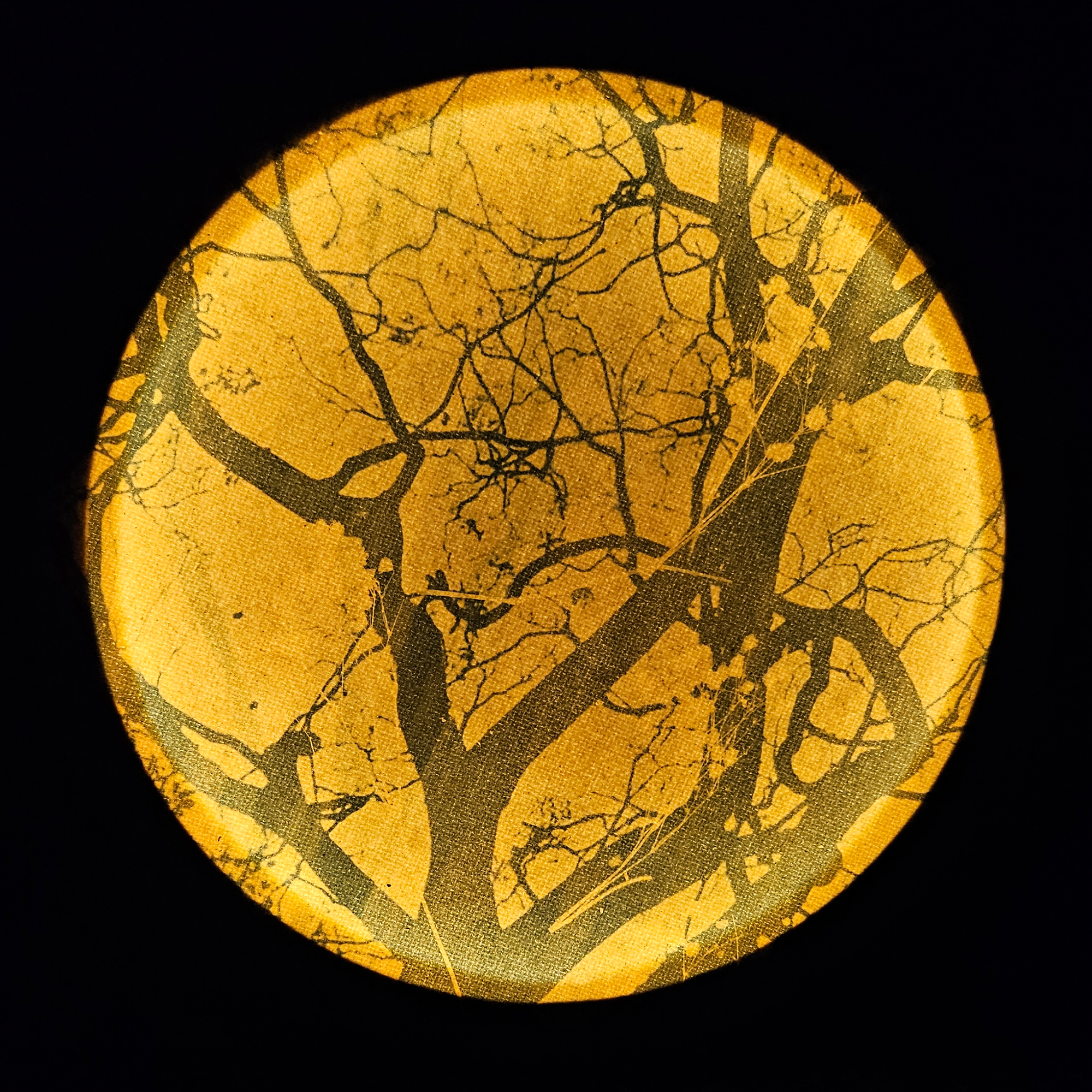 Cyanotype Lamp Workshop
