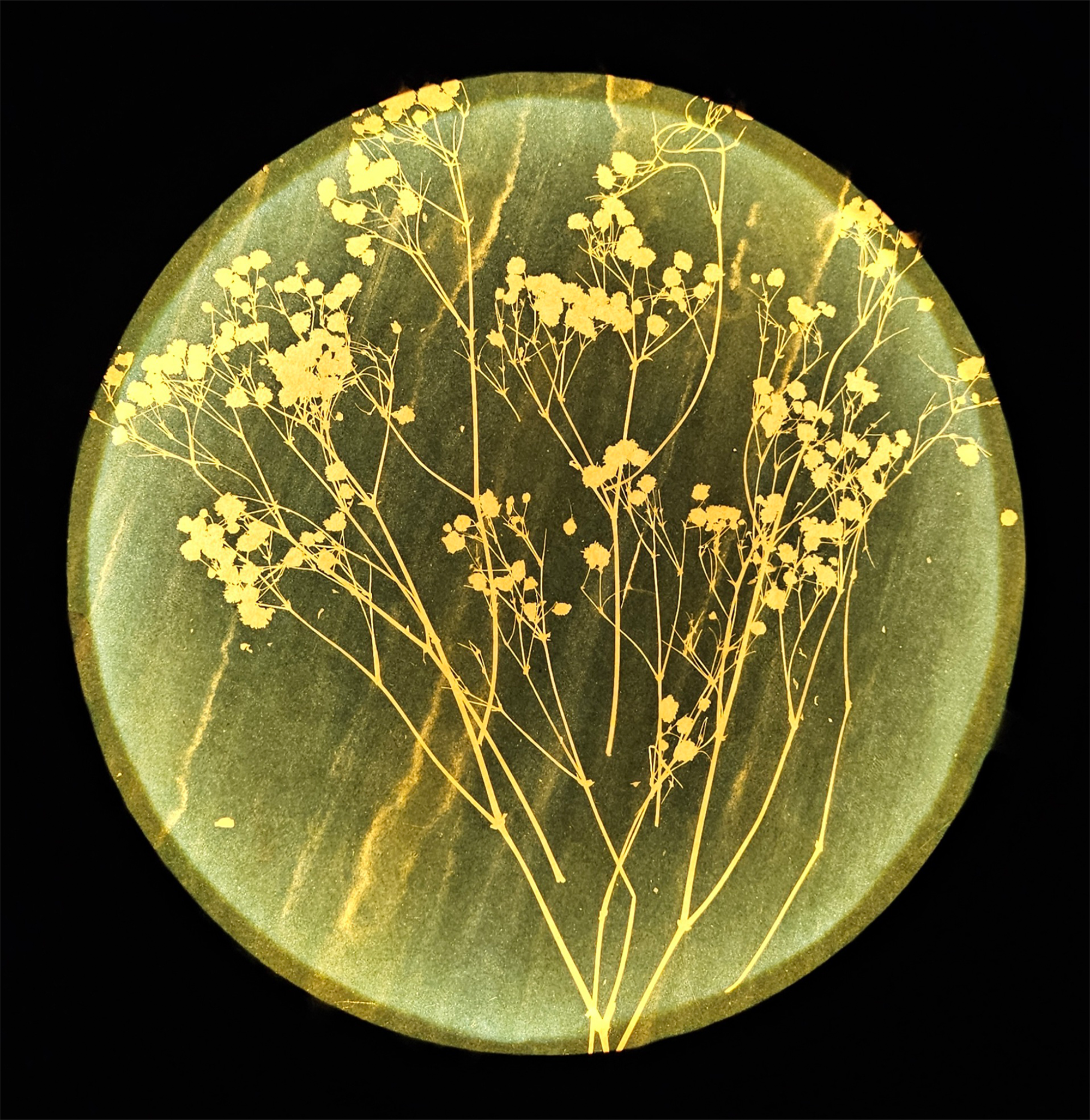 Cyanotype Lamp Workshop