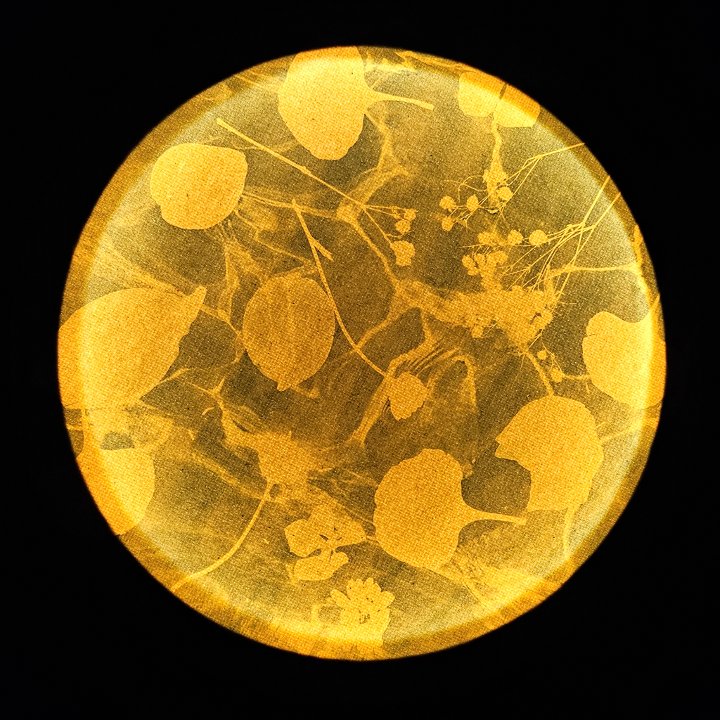 Cyanotype Lamp Workshop