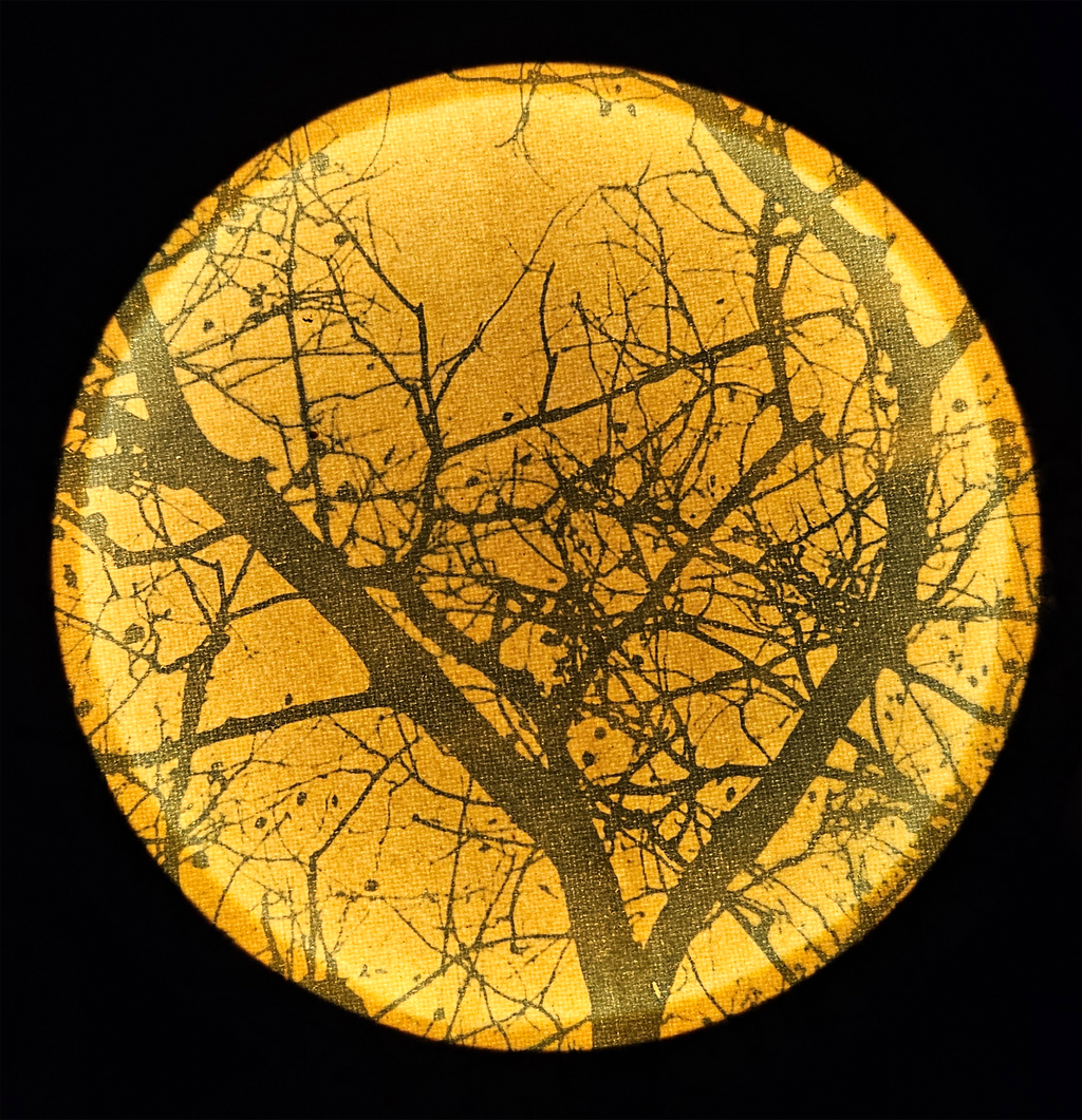 Cyanotype Lamp Workshop