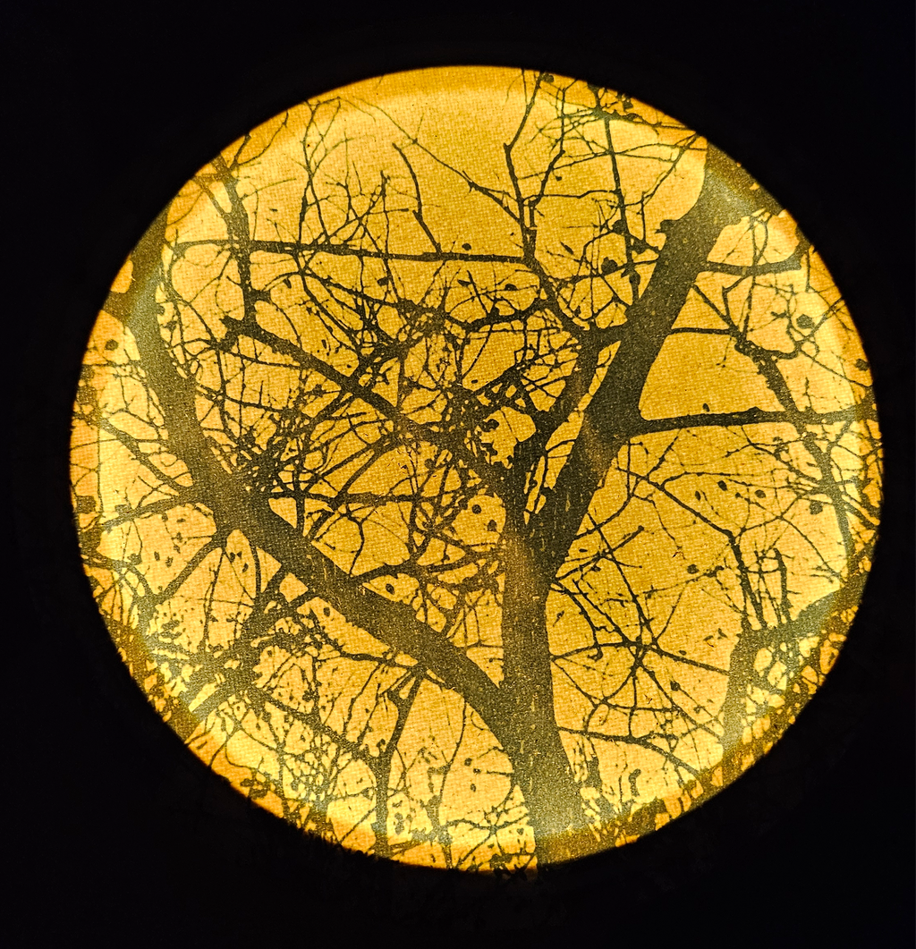 Cyanotype Lamp Workshop