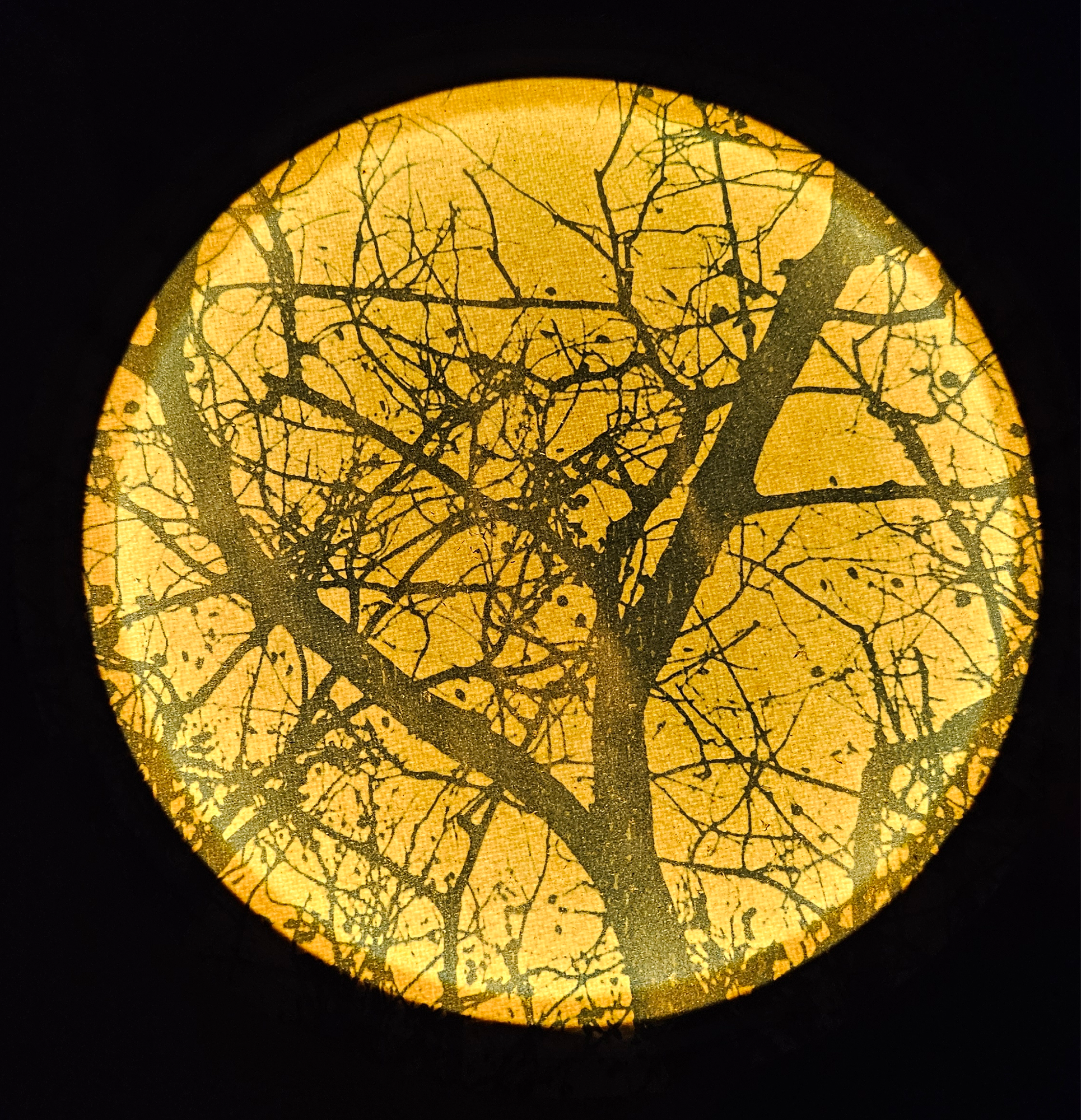 Cyanotype Lamp Workshop