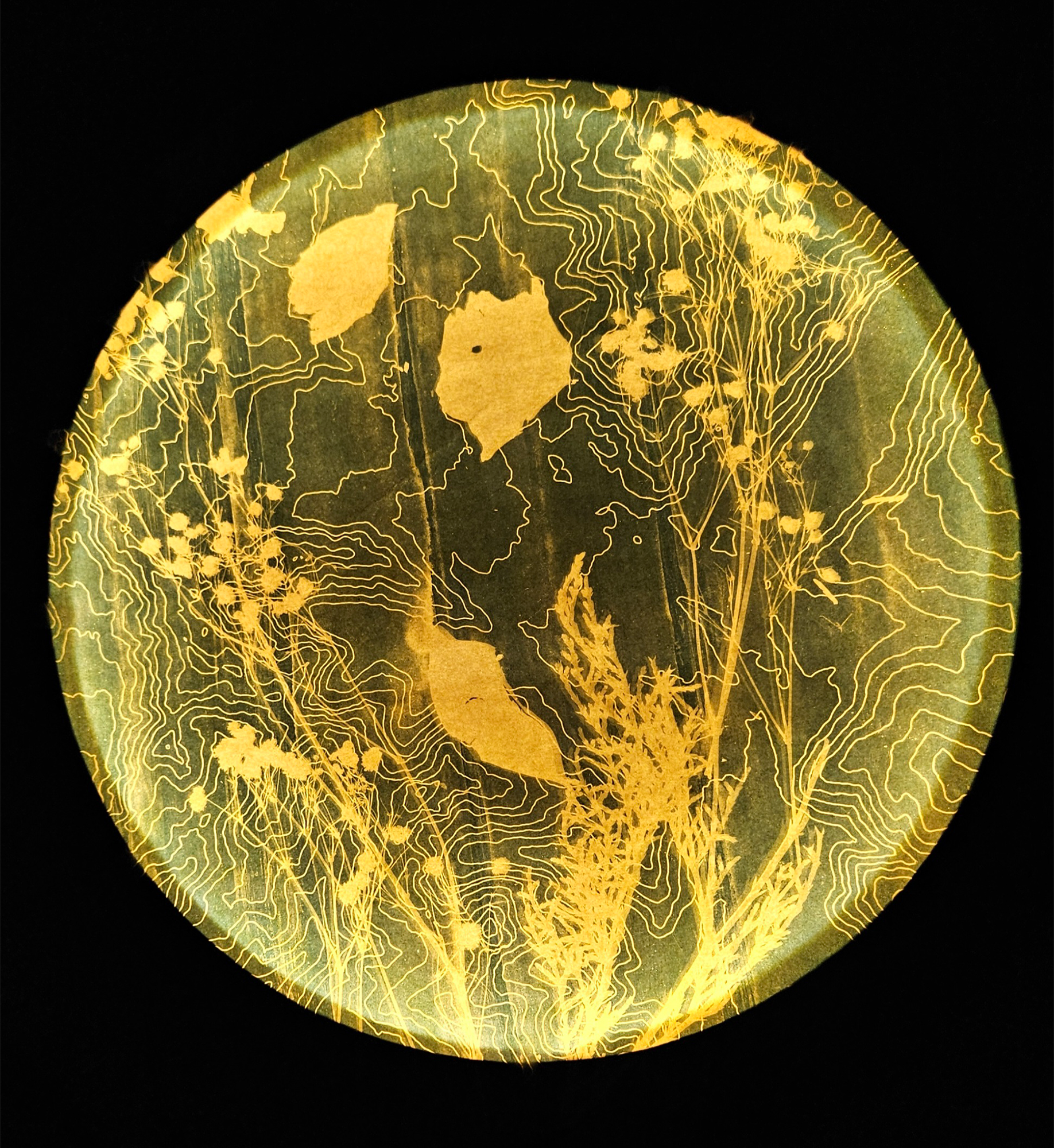Cyanotype Lamp Workshop